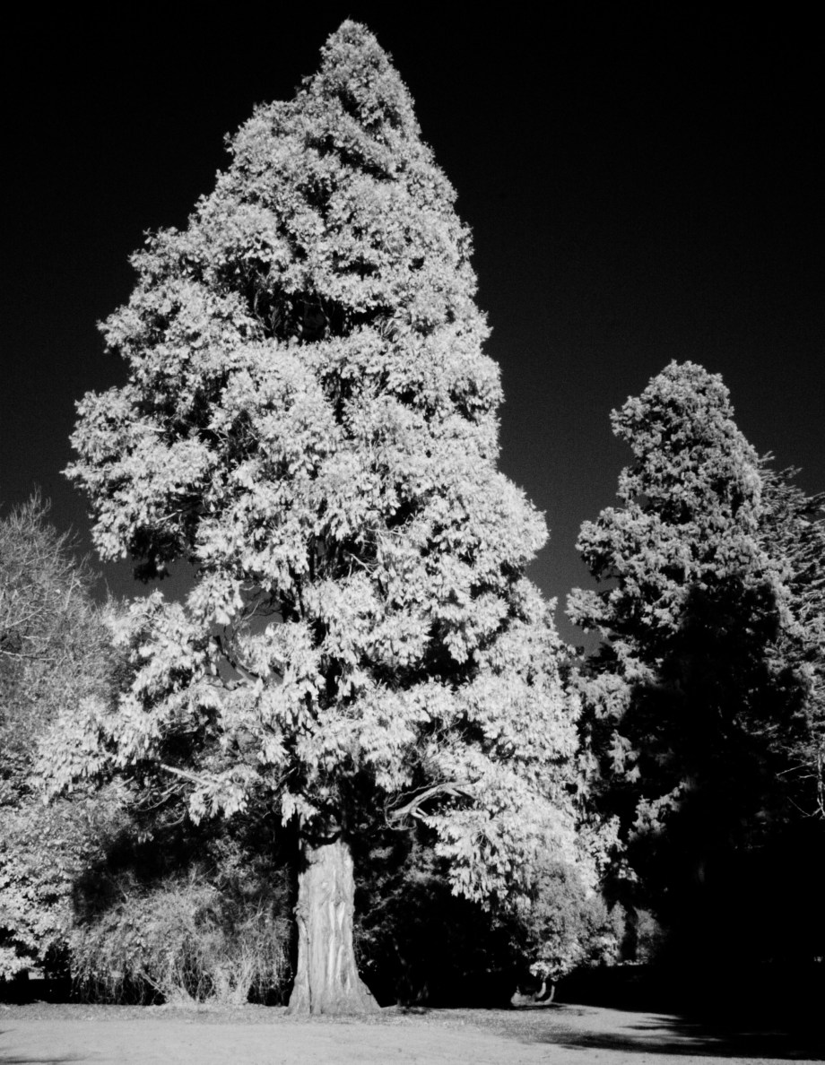 Phoenix Park Visitor Centre