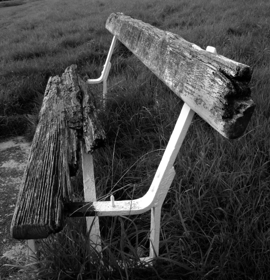 bench in phoenix park1