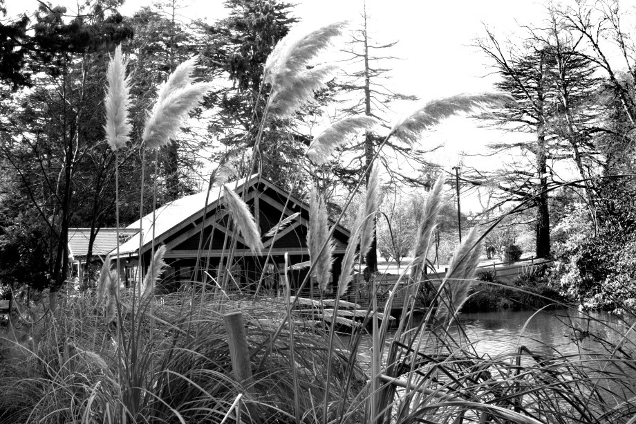 boathouse in farmleigh grounds Boathouse in Farmleigh