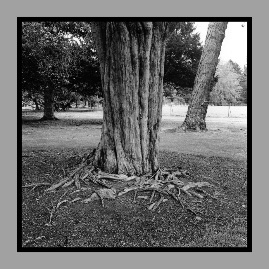 click on the image to purchase prints or postcards