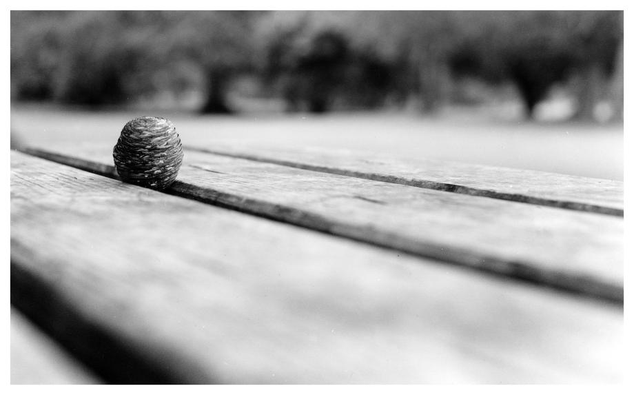 Phoenix Park Visitor Centre