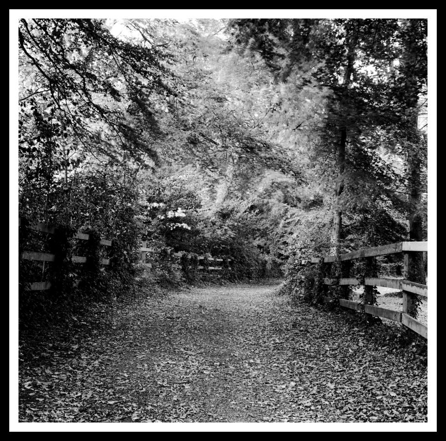 Farmleigh in the Phoenix Park