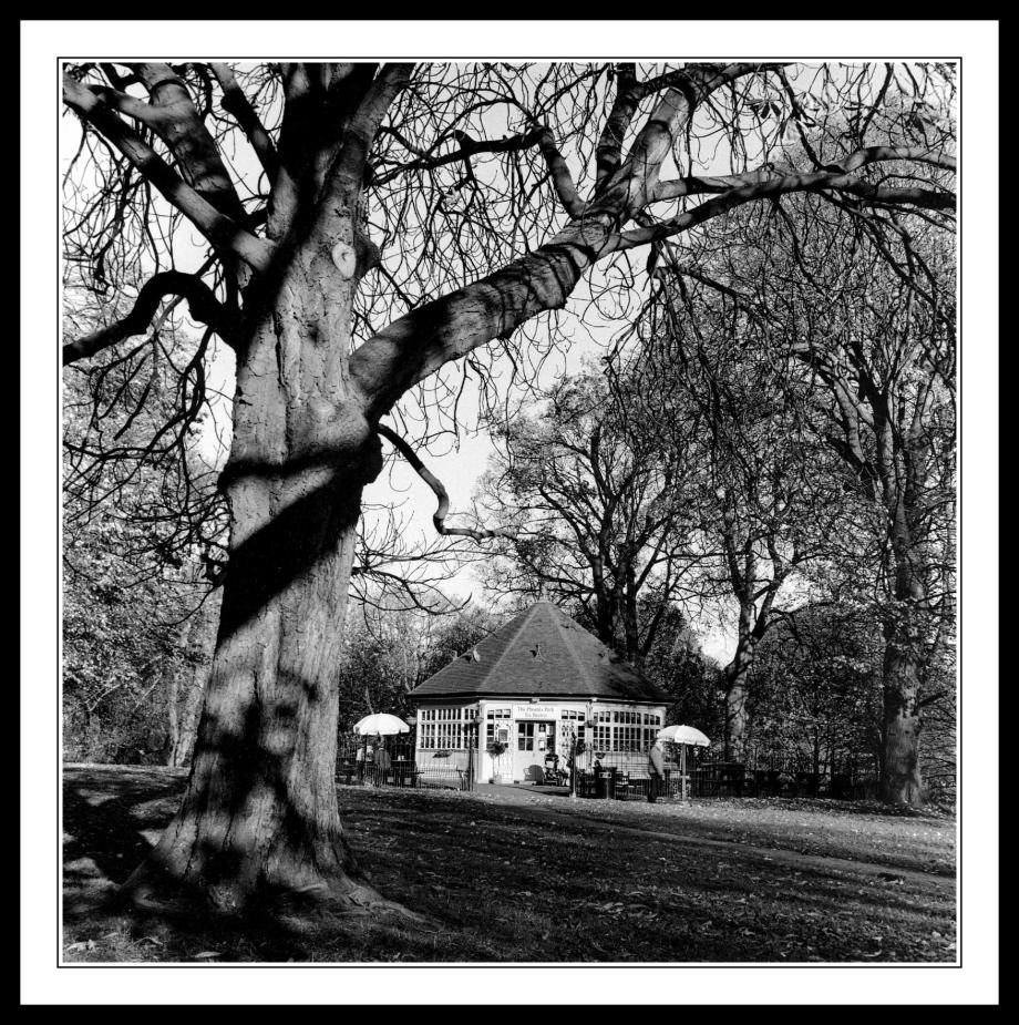 Phoenix Park Tea Rooms