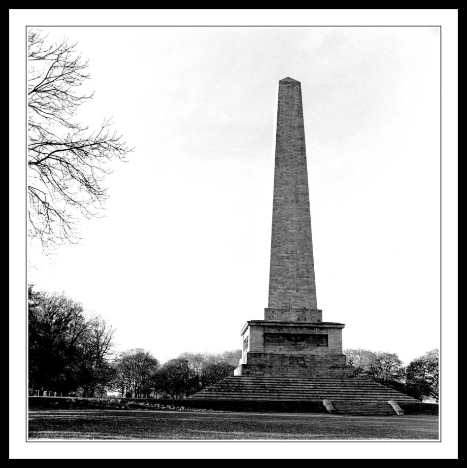 Wellington Monument close up The Boot Monument